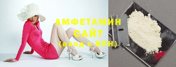 индика Воткинск