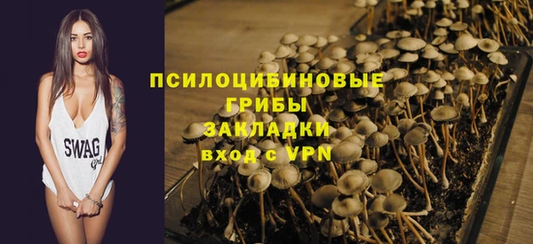 стафф Аркадак