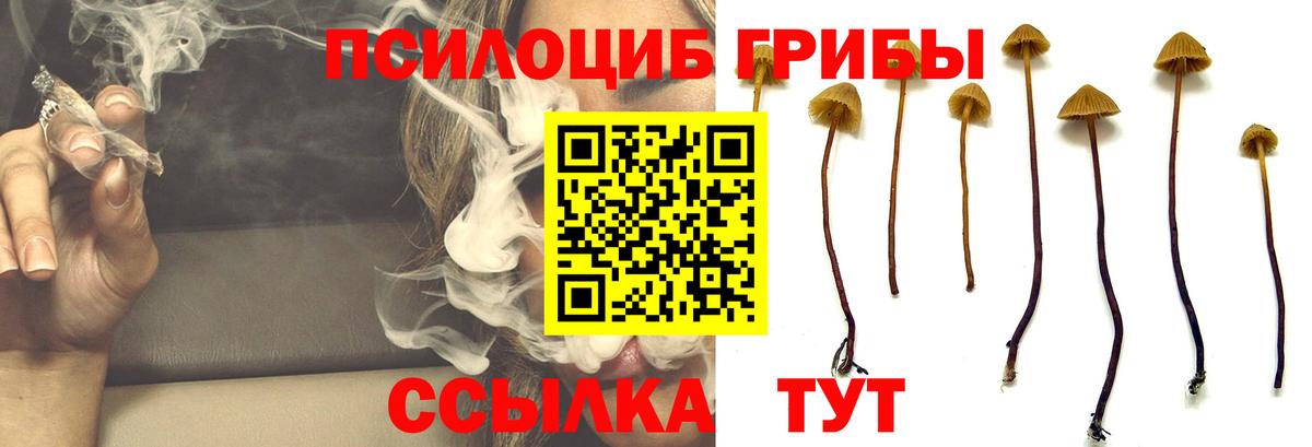 Краснокаменск  Галлюциногенные грибы ЛСД  Псилоцибиновые грибы GOLDEN TEACHER  Вход с VPN 